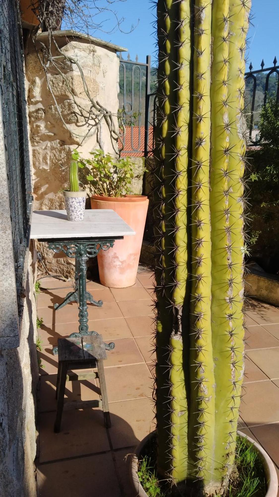 Вилла Casa Iriana - Parking Gratis I Jardin I Barbacoa Оренсе Экстерьер фото